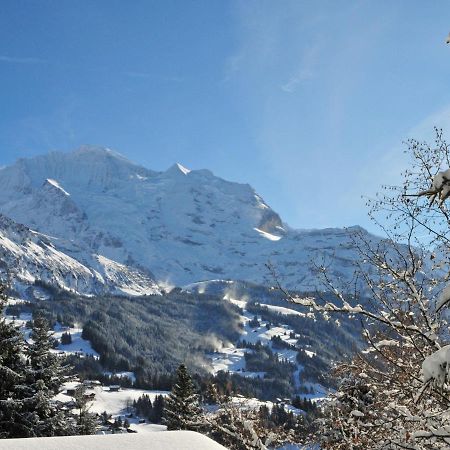 Apartment Bergfrieden Wengen Buitenkant foto